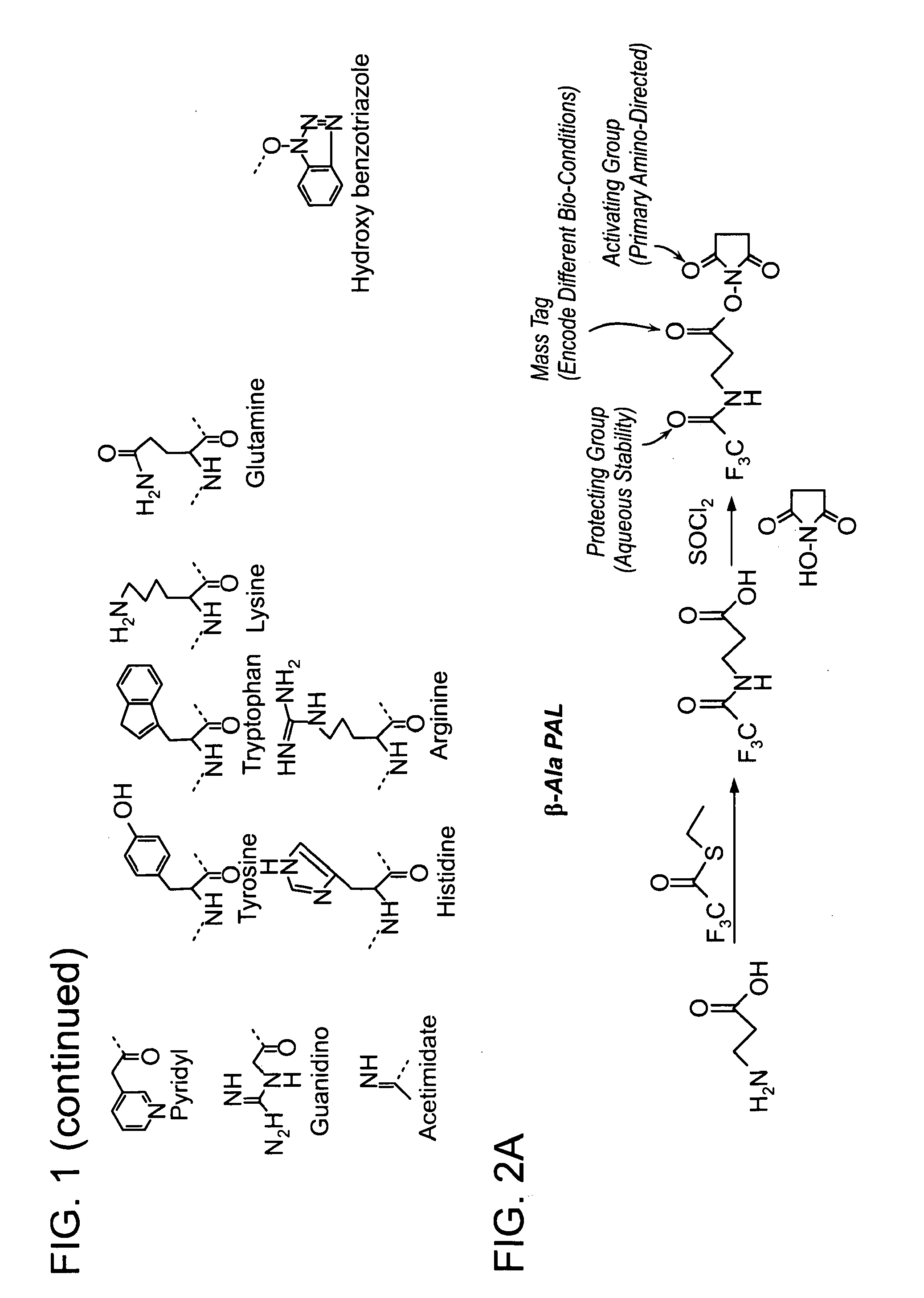 Protected amine labels and use in detecting analytes