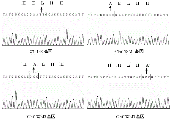 Genetic modification method capable of enhancing disinsection efficiency of baculovirus