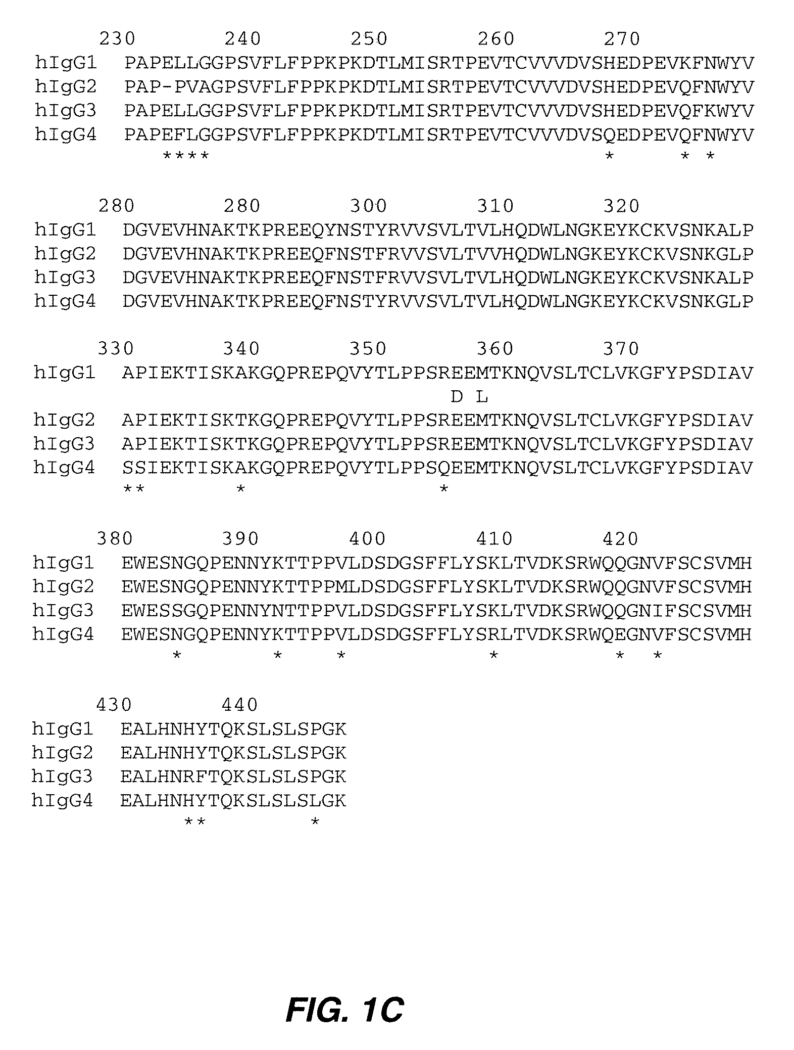 Antibody-based therapeutics with enhanced ADCC activity