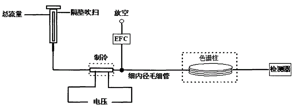 Chromatography sampling device and method