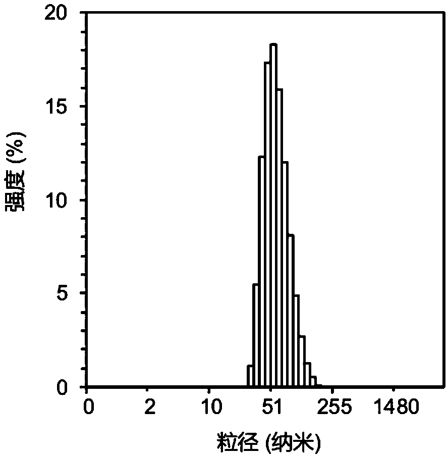 Multifunctional high molecular micelle drug delivering system and preparation method and application thereof