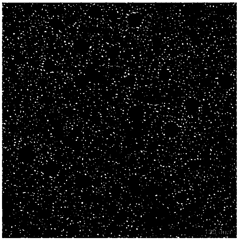 Multifunctional high molecular micelle drug delivering system and preparation method and application thereof