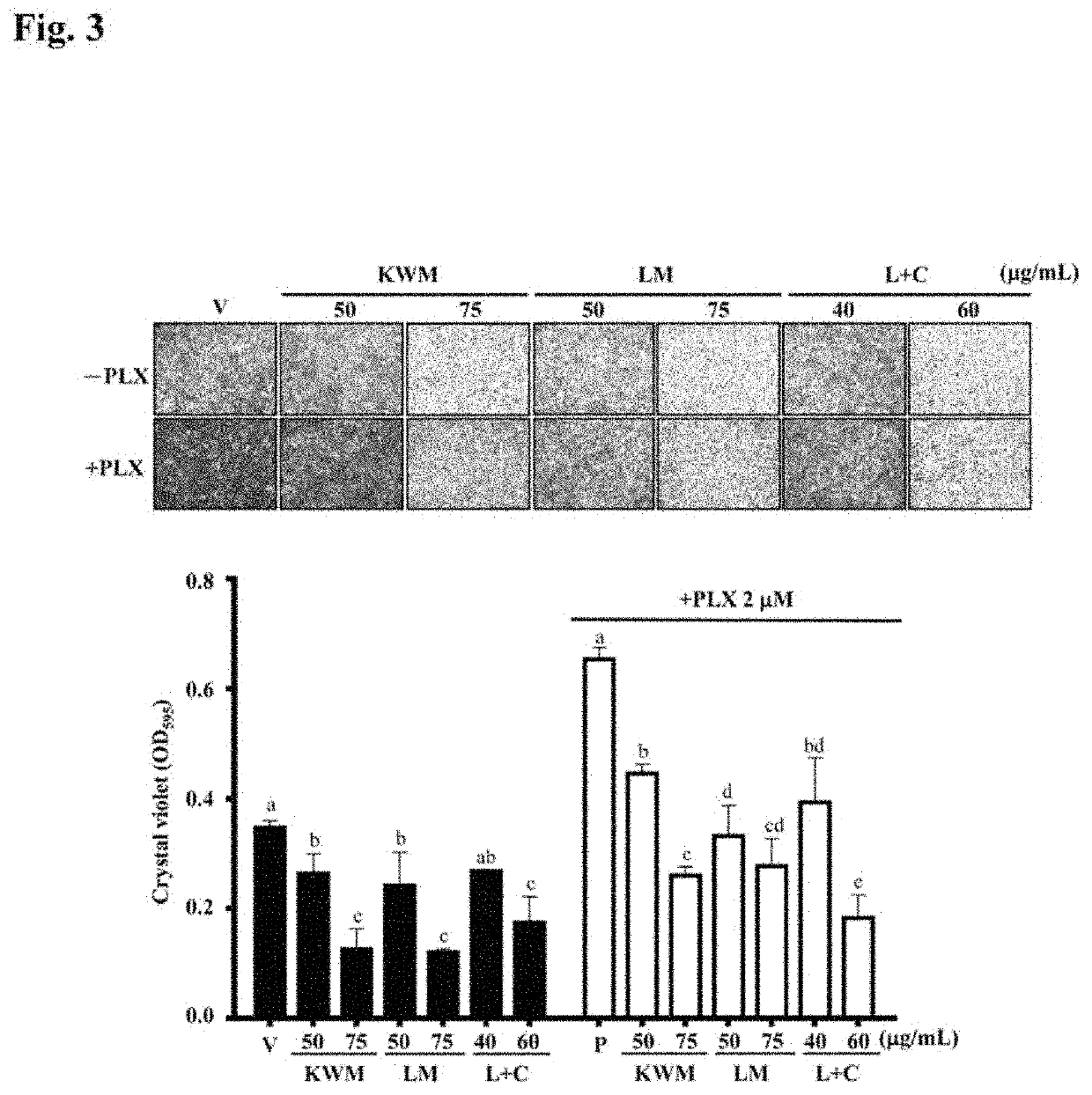 Mint essential oils inhibit hras-q61l mutant keratinocyte activity and prevent skin carcinogenesis