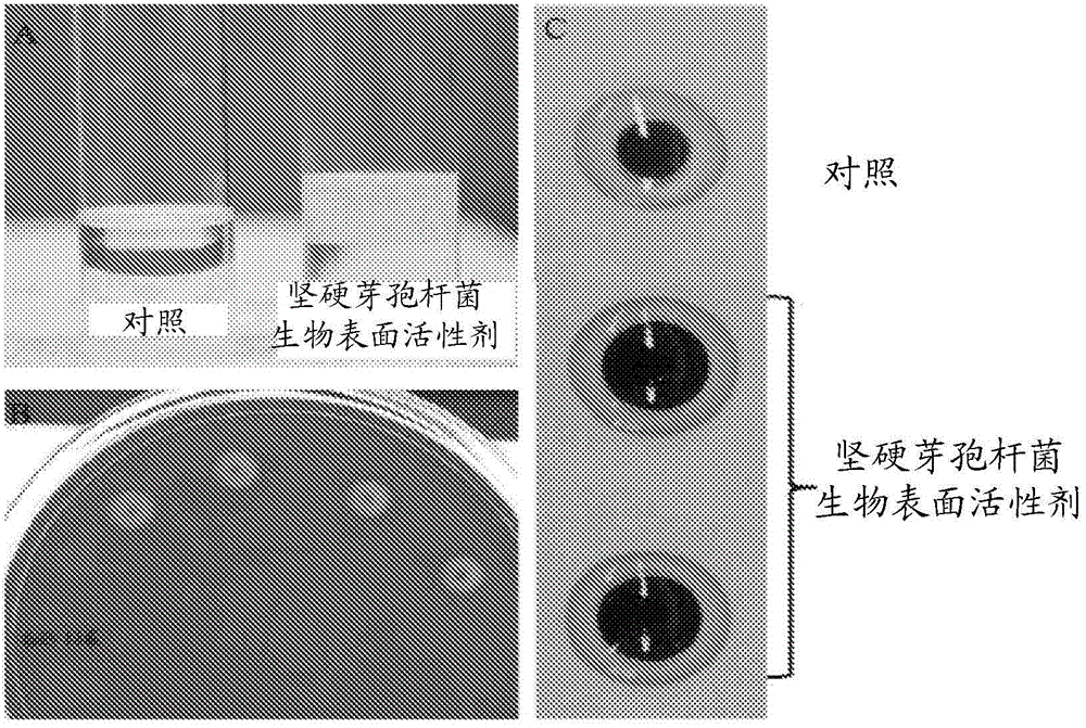 Compositions and methods for controlling plant-parasite nematode