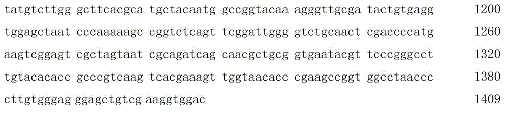 Nitrogen-fixing arthrobacterium and application thereof