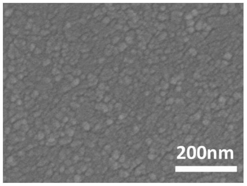 Silicon-based semiconductor pn junction structure and its preparation method, photocathode and application