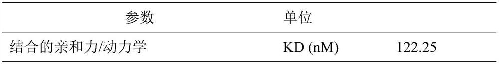 Anti-jelly fish toxin nano antibody KY031 as well as preparation method and application thereof