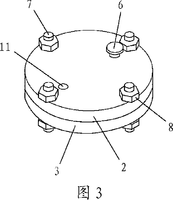 Lightweight aggregate pretreatment method and its device