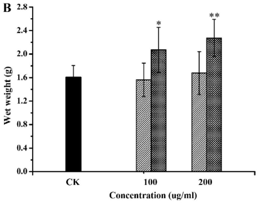 Novel hymexazol oxyglycoside conjugate as well as preparation and application thereof