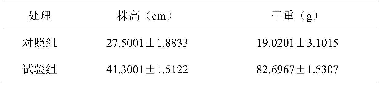 Soil conditioner for quickly ripening semi-mature soil and method for quickly ripening semi-mature soil