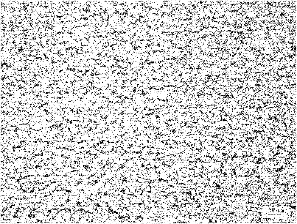 Method for producing hot rolled steel coils