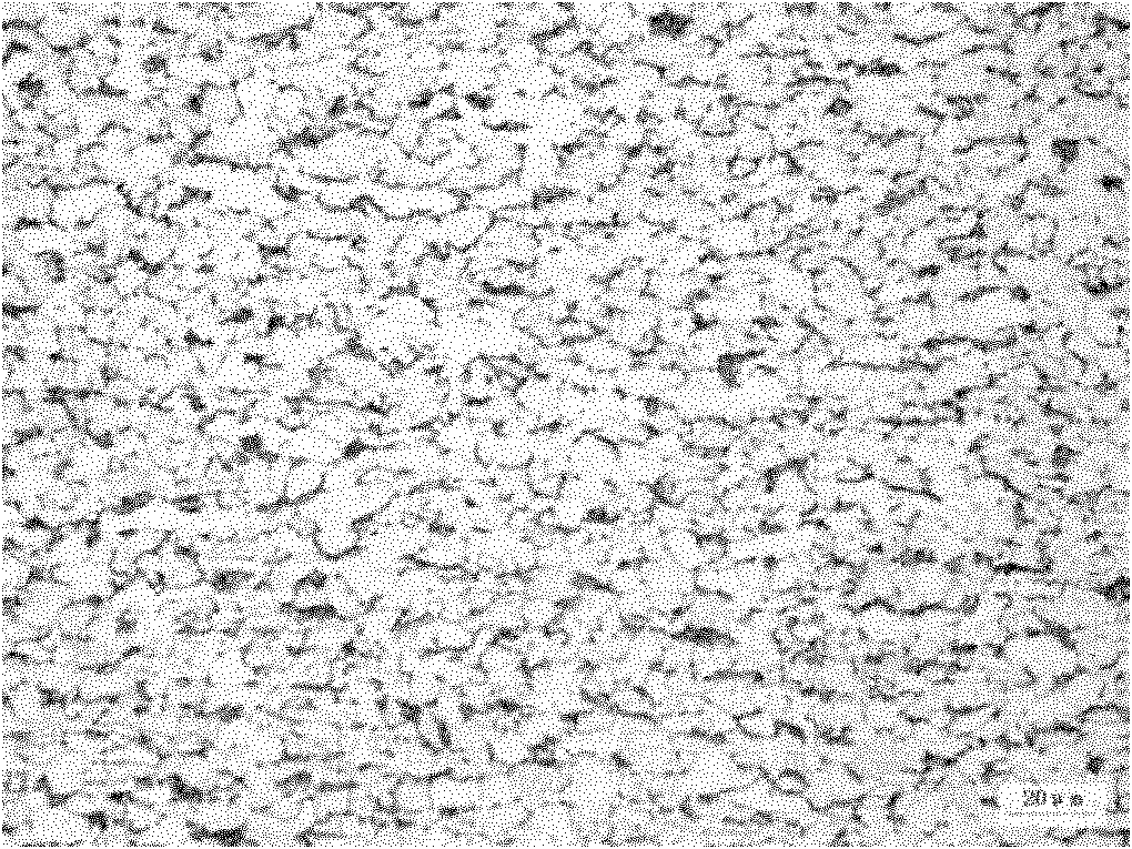 Method for producing hot rolled steel coils