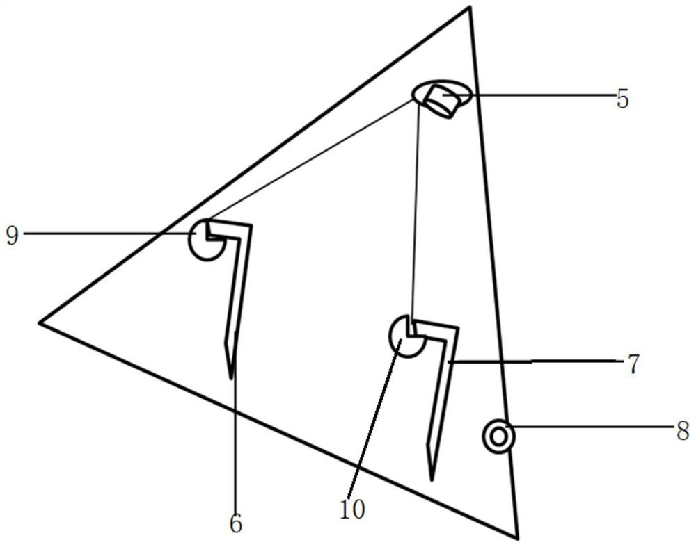 Fish deep processing automatic counting system, fish body quality prediction method and terminal