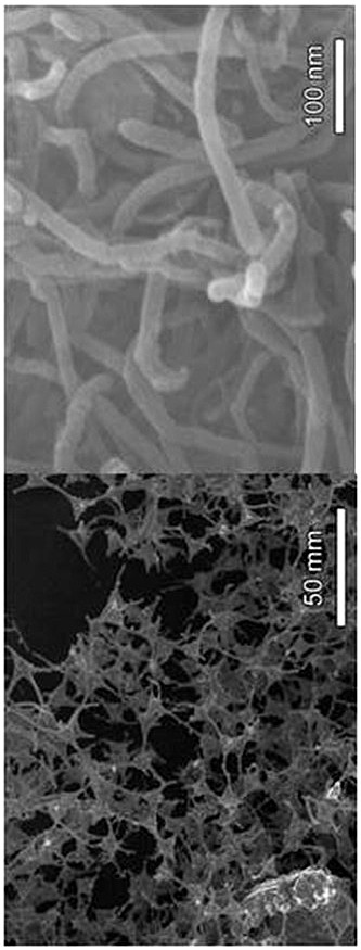 Preparation method of flexible sulfur positive electrode of lithium-sulfur battery