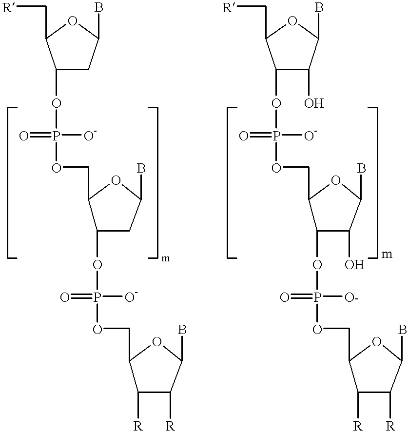 Water-soluble rhodamine dyes and conjugates thereof