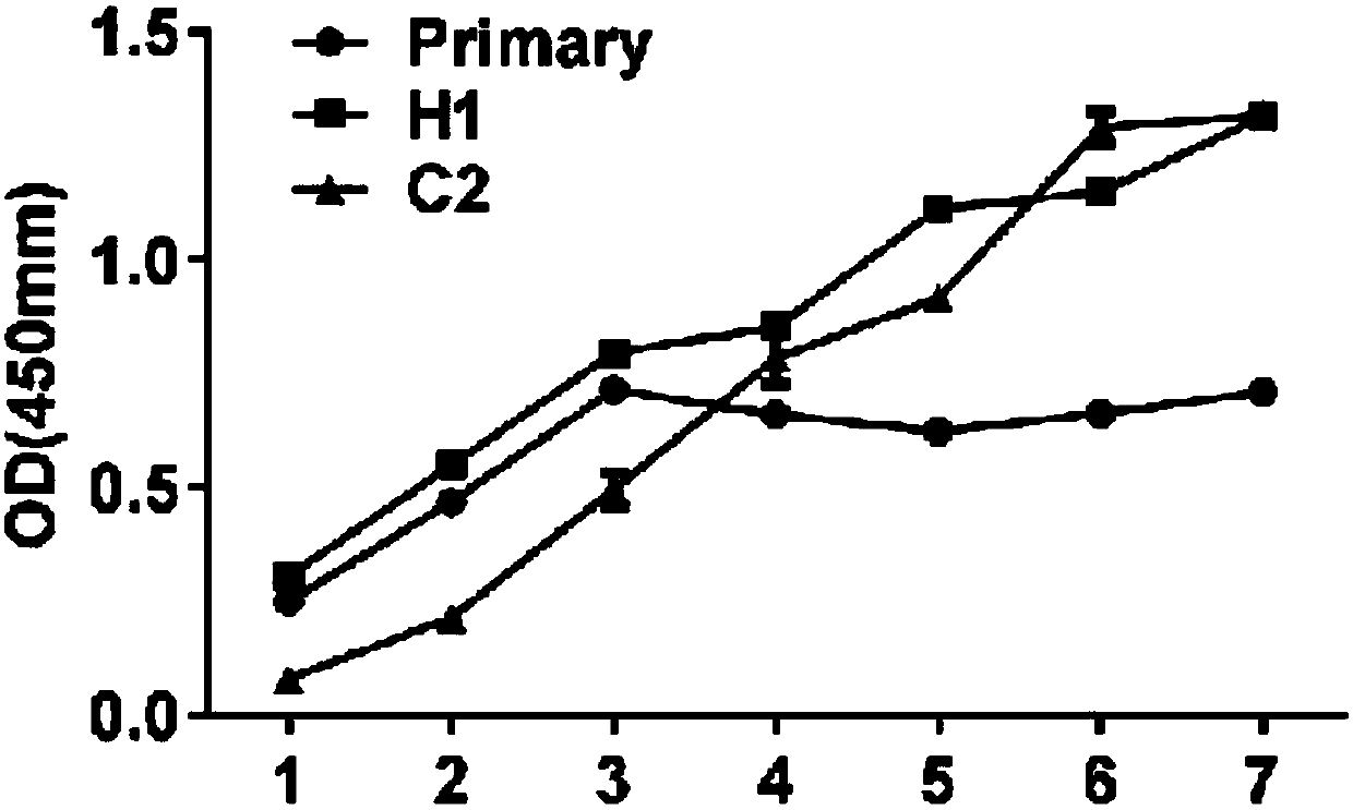 Hertwig's epithelial root sheath cell lines HERS-H1 and HERS-C2 of SD rats as well as establishing method and applications of Hertwig's epithelial root sheath cell lines HERS-H1 and HERS-C2