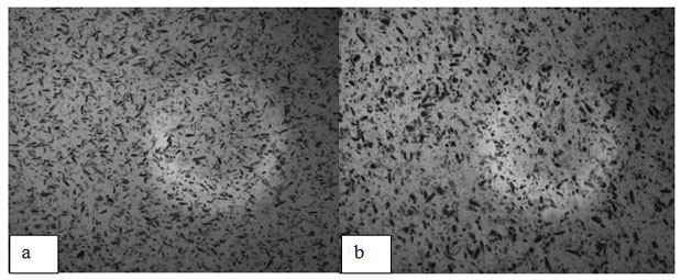 Modified epoxy asphalt and preparation method thereof