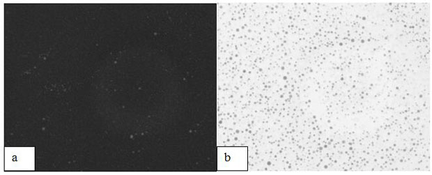 Modified epoxy asphalt and preparation method thereof