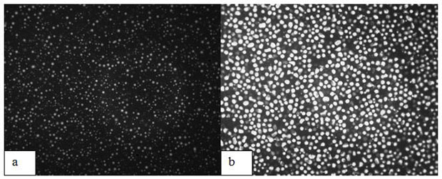 Modified epoxy asphalt and preparation method thereof