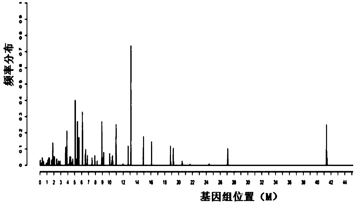 Method and device for microbiological analysis of host sample