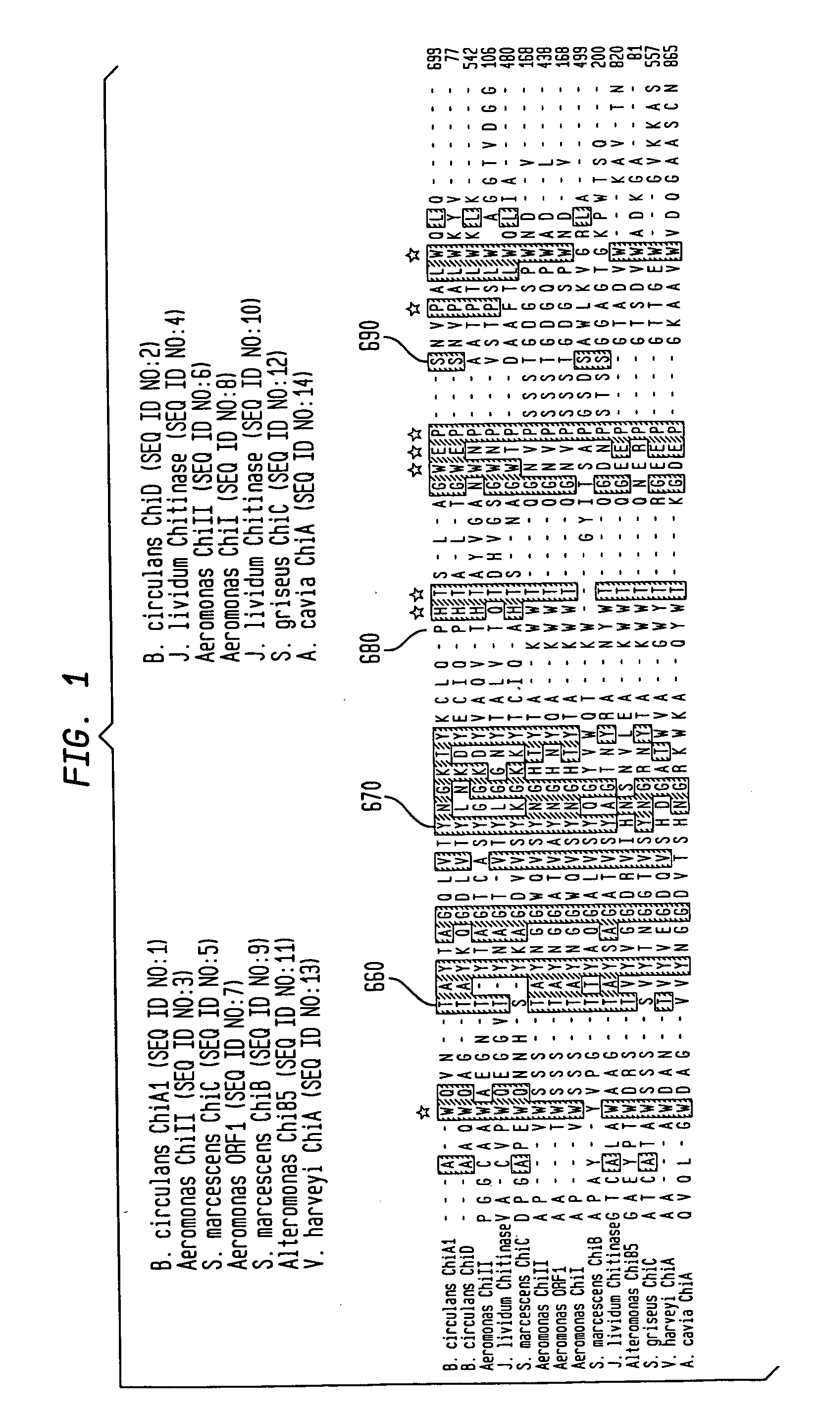 Modified chitin-binding domain and use thereof