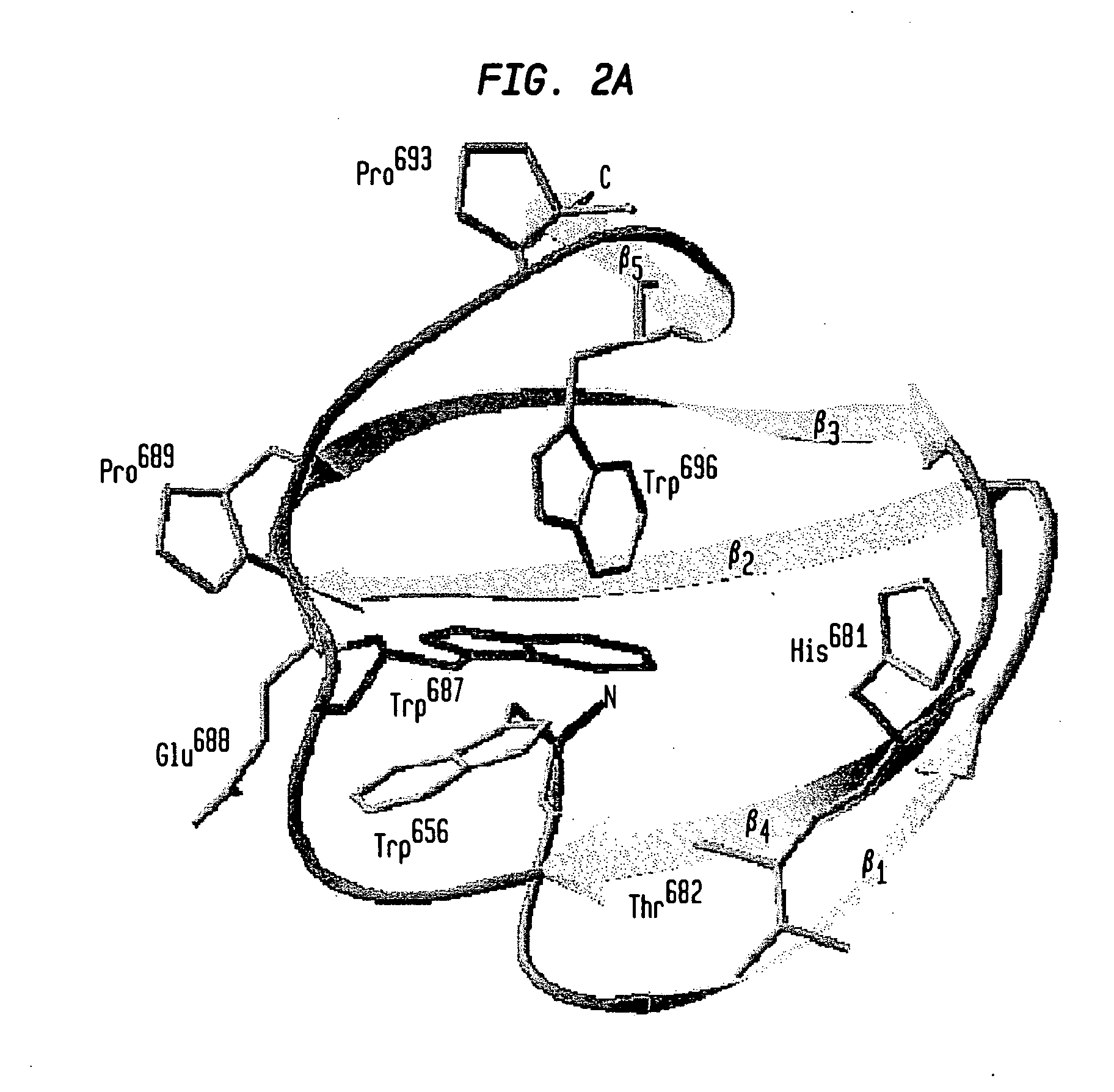 Modified chitin-binding domain and use thereof