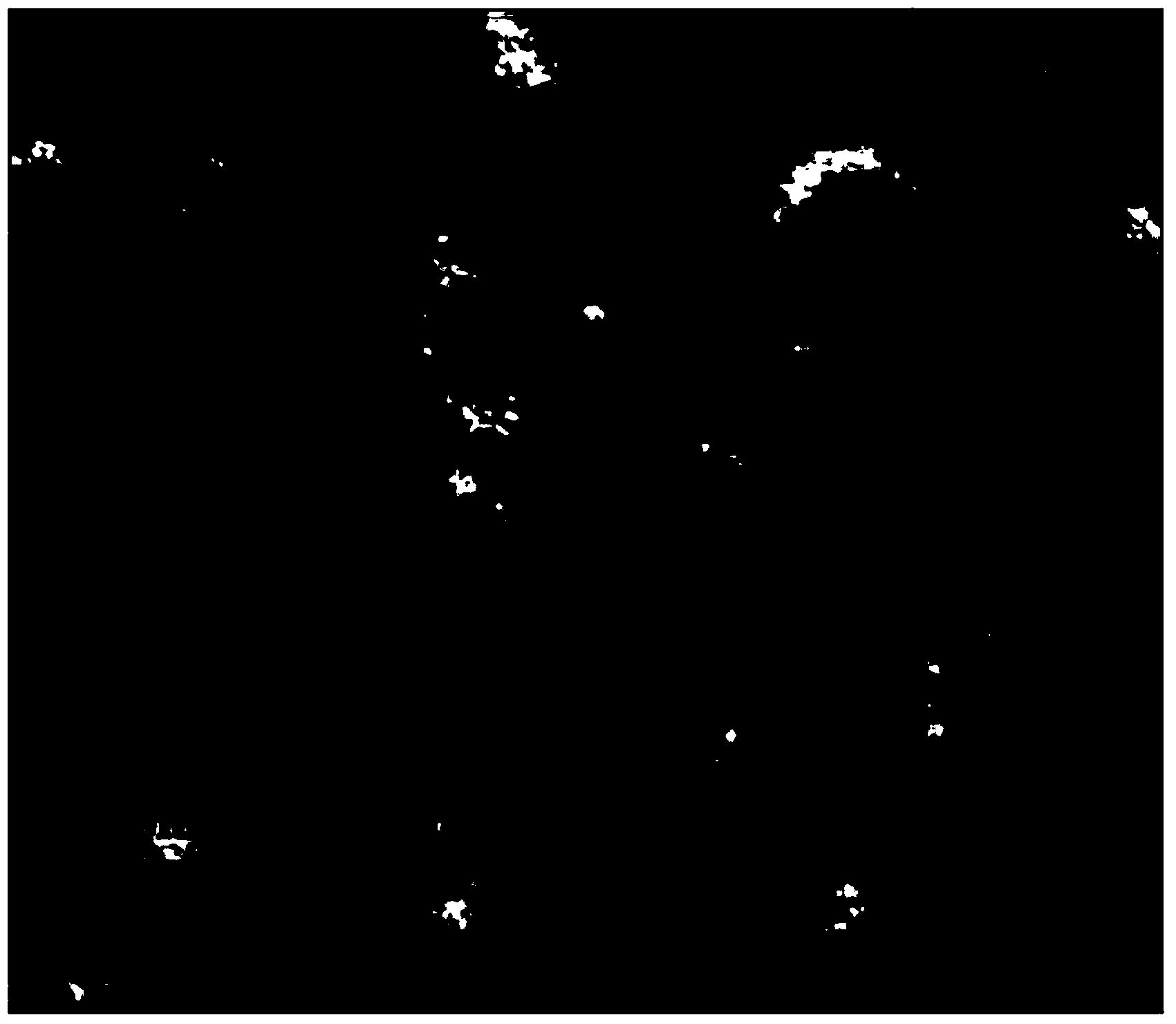 Preparation method and application of reduced glutathione lipidosome