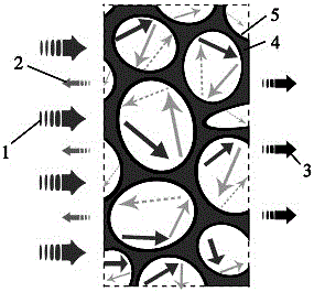 Foam metal-graphene composite material and preparation method thereof