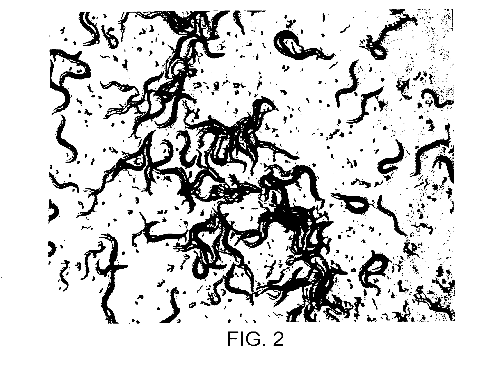 Nematicidal compositions and methods