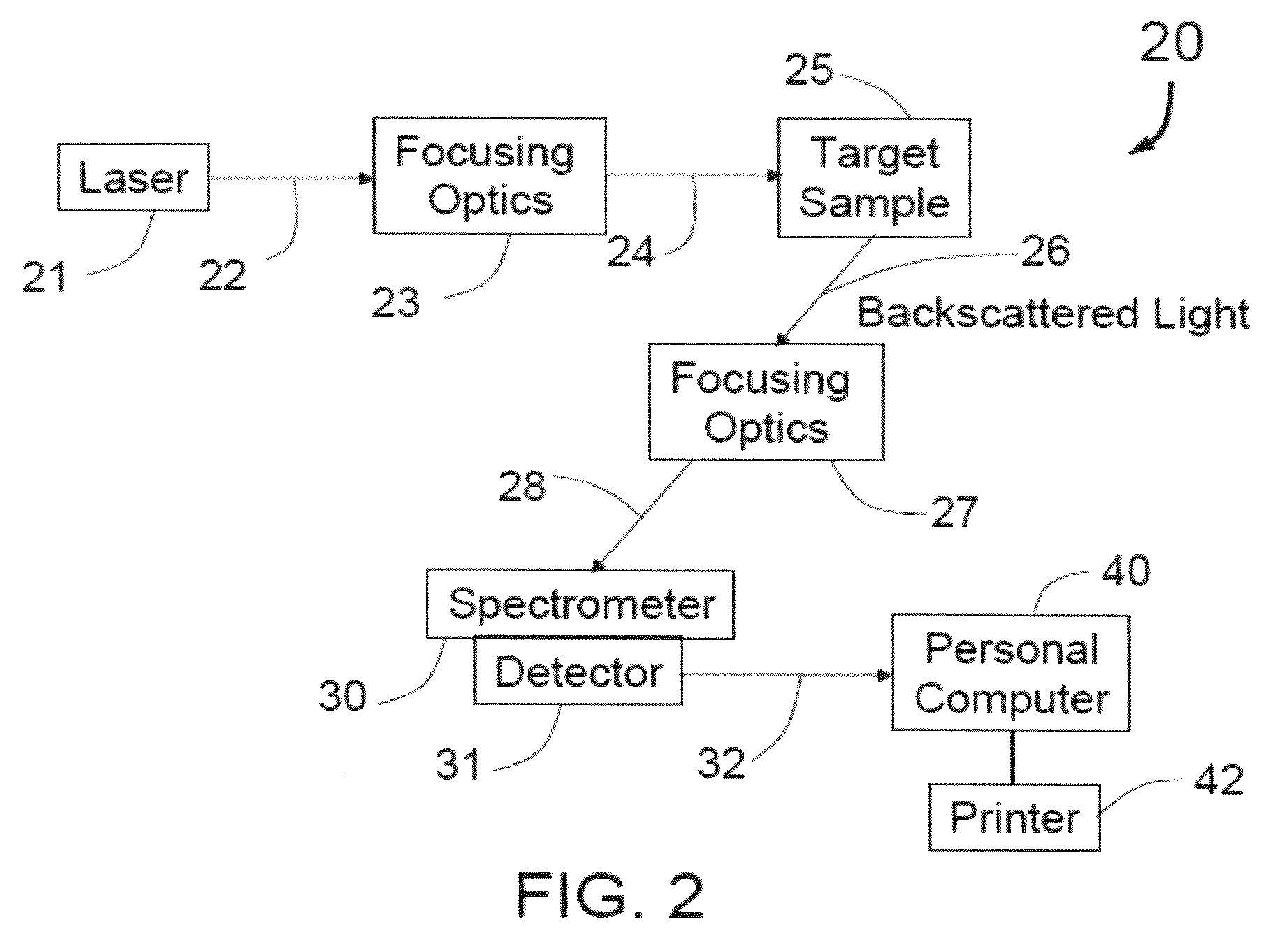 Methods for detecting organisms and enzymatic reactions using raman spectroscopy