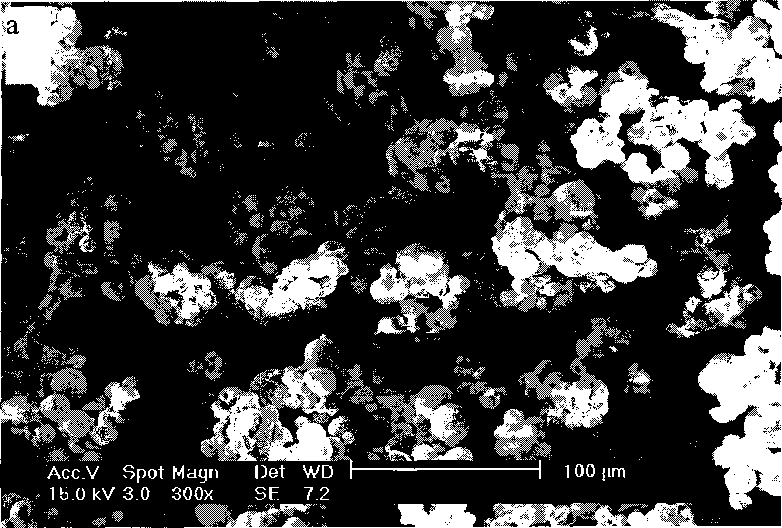 Magnesium halide alcohol adduct and preparation method and application thereof