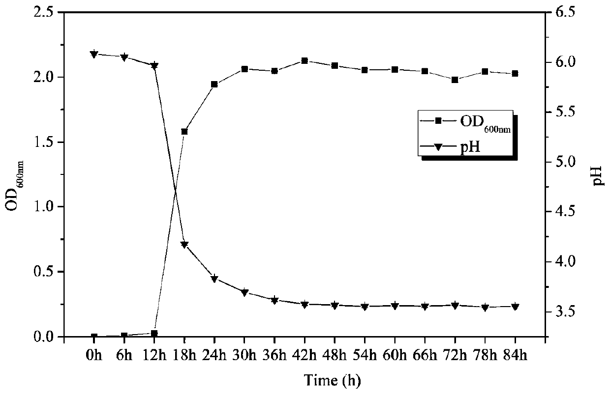 Lactobacillus plantarum capable of producing various broad-spectrum antibacterial metabolites and application thereof