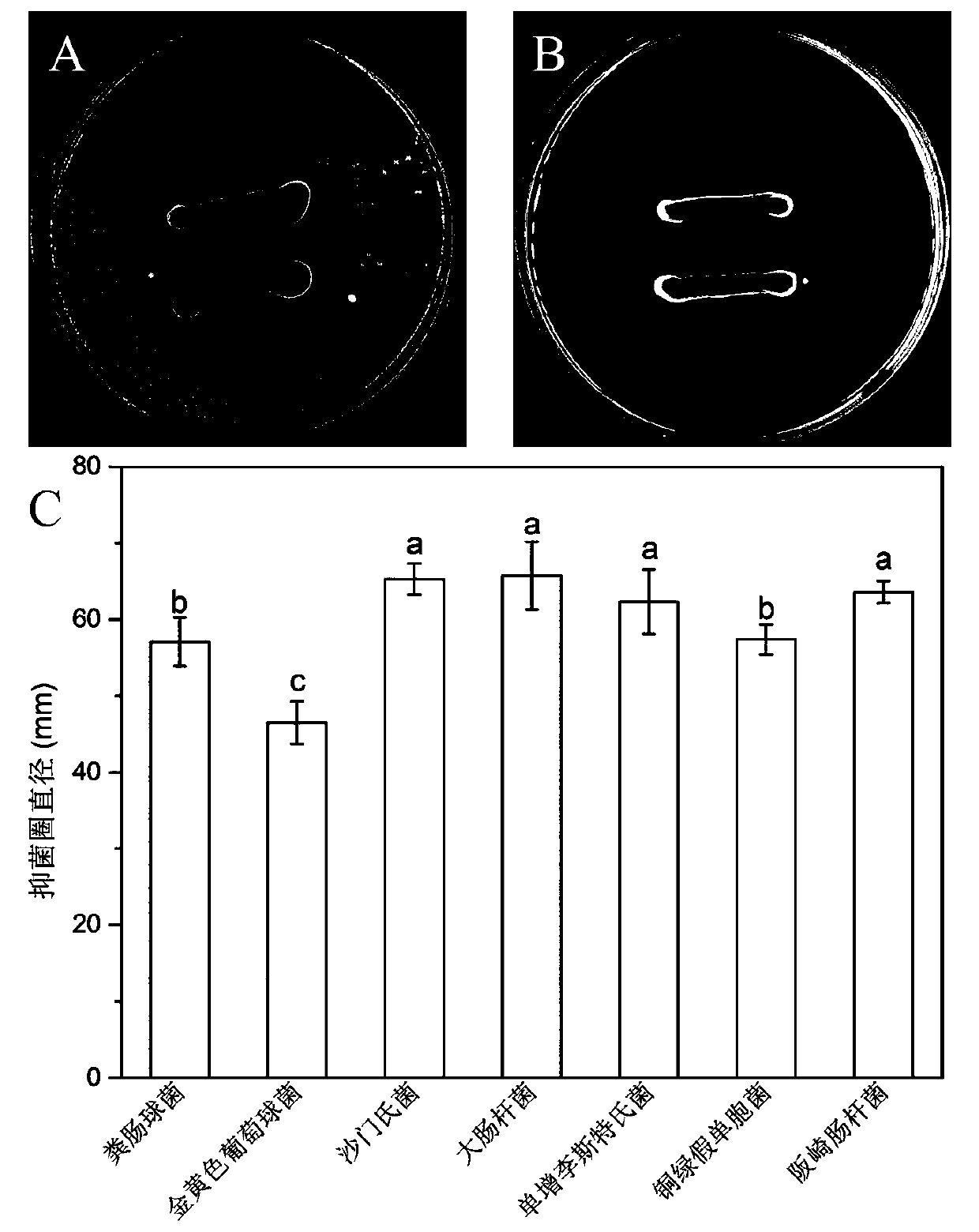 Lactobacillus plantarum capable of producing various broad-spectrum antibacterial metabolites and application thereof