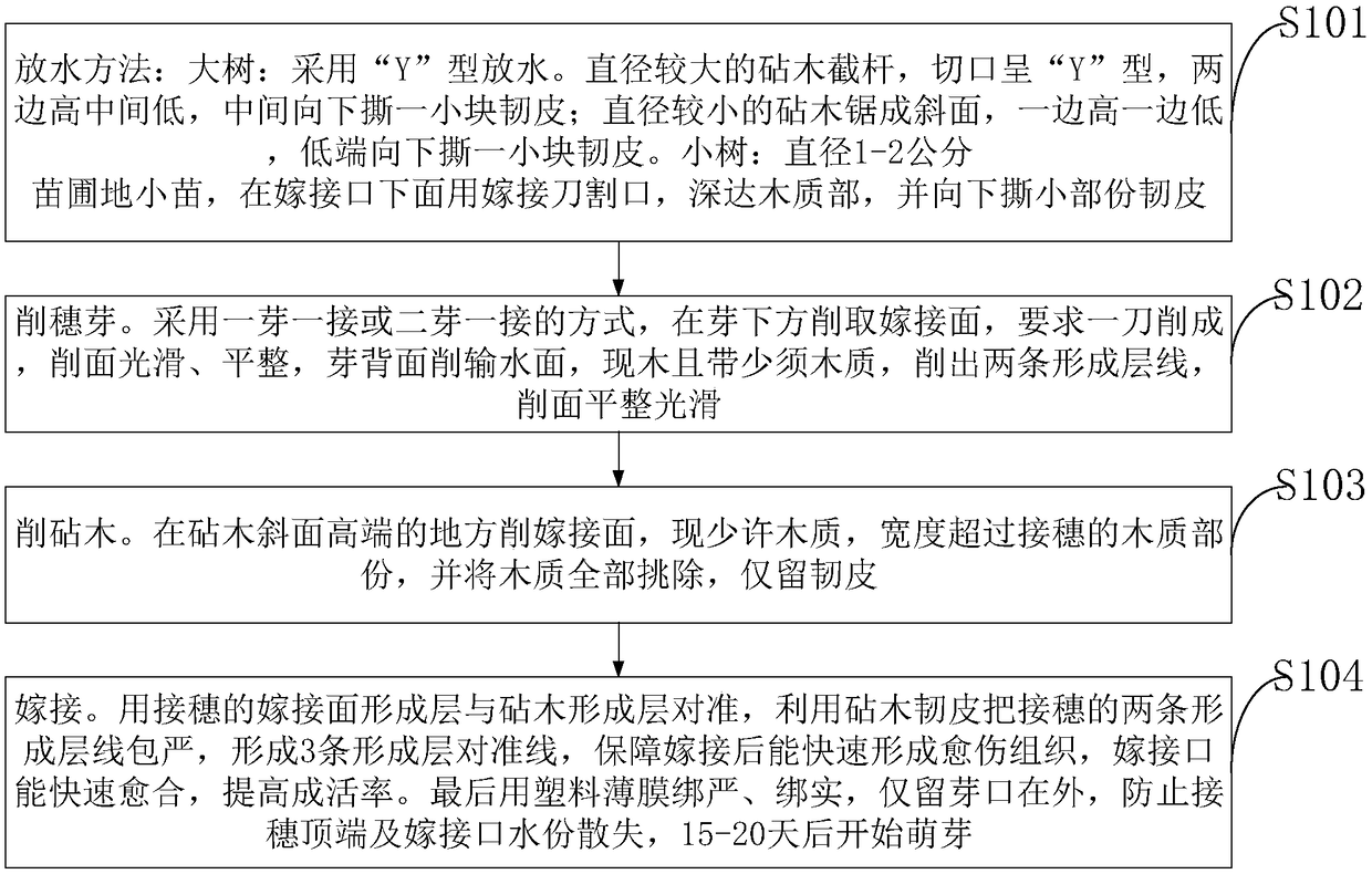 Method for grafting three-line healing of fruit tree