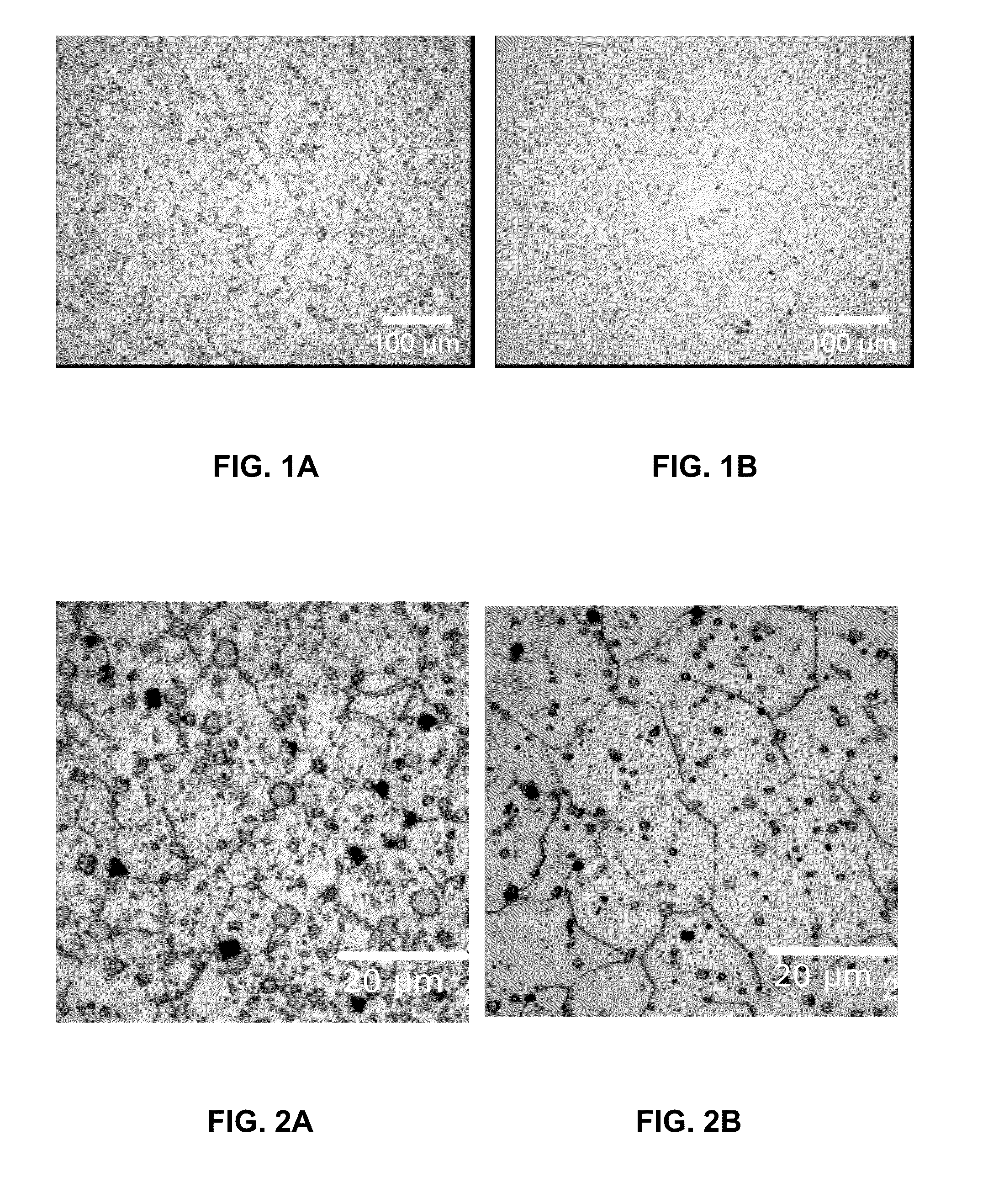 Implant made of a biodegradable magnesium alloy