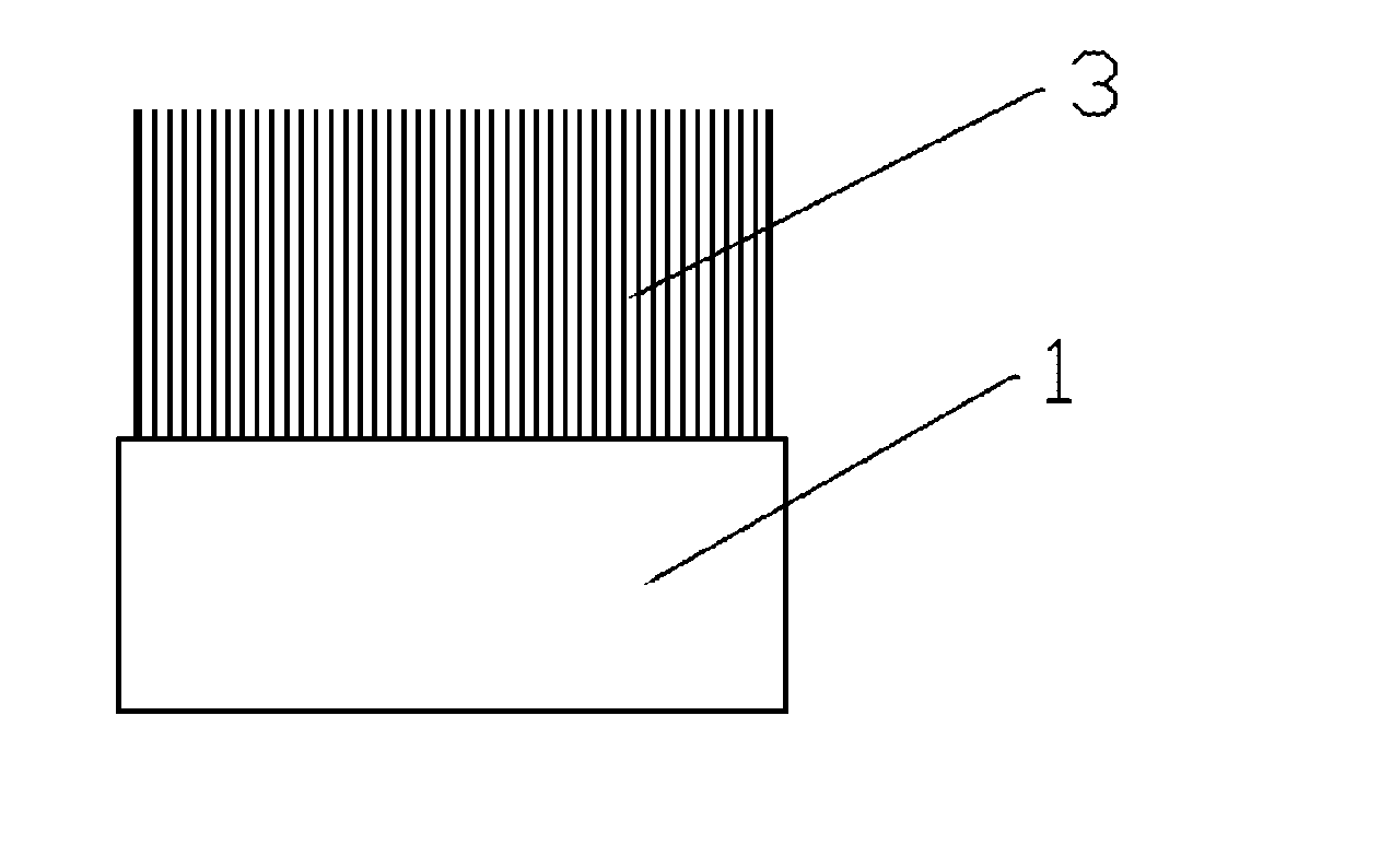 Electrode for generating negative oxygen ion and negative oxygen ion generator using the electrode