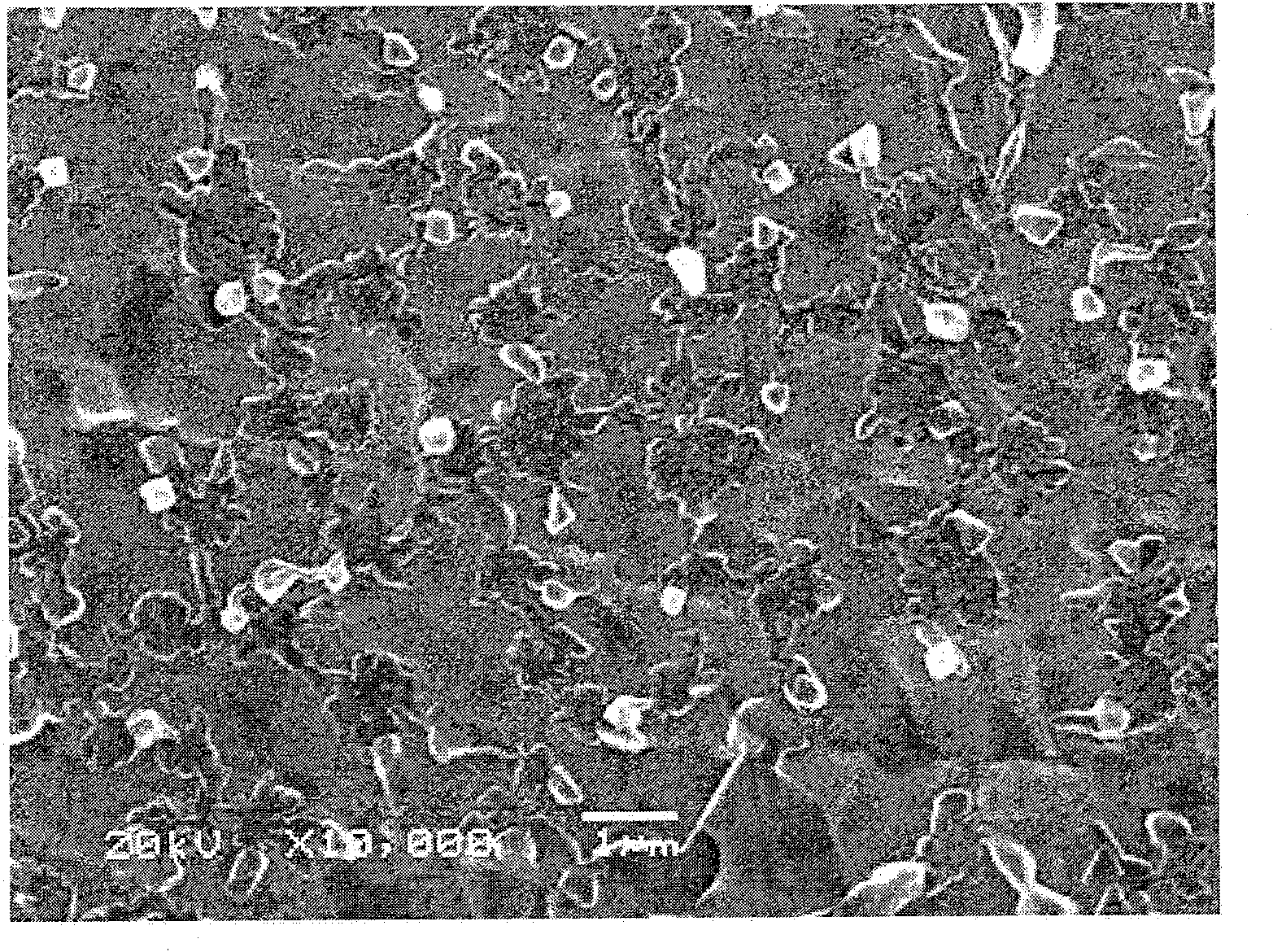 High temperature proton exchange film for fuel cell and method for making same