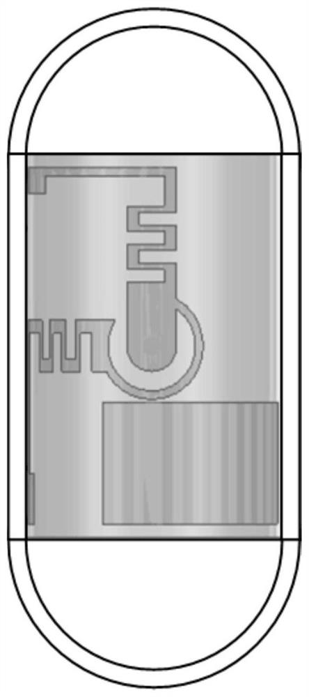 Broadband conformal circularly polarized antenna and capsule endoscope