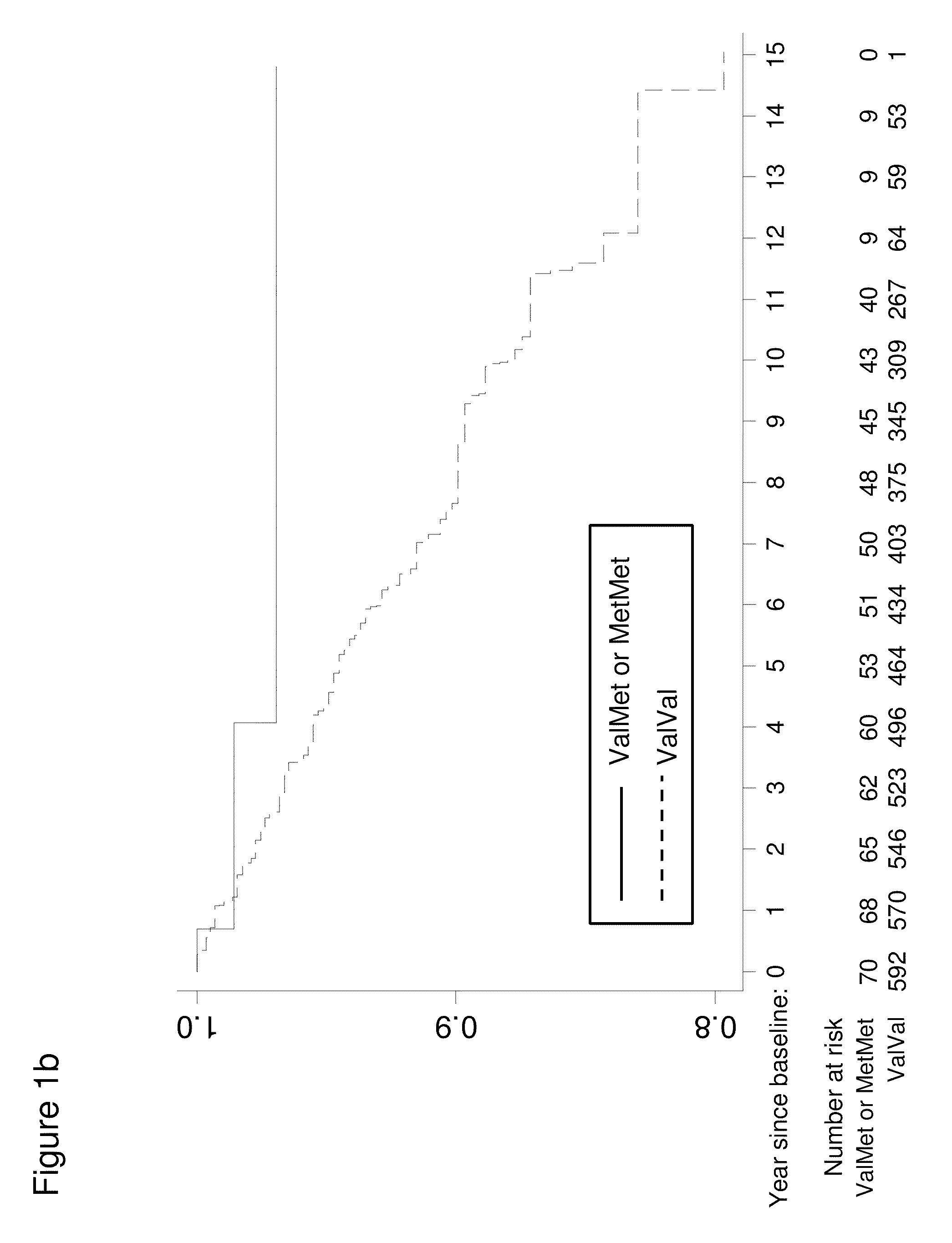 Gentic polymorphisms associated with stroke, methods of detection and uses thereof