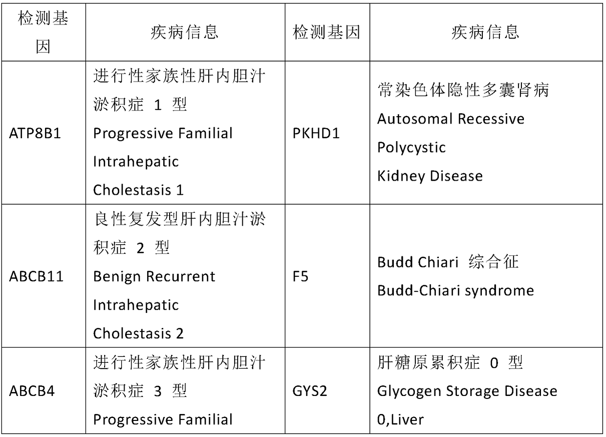 Kit used for screening genetic liver diseases