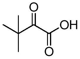 Preparation method of 3, 3-dimethyl-2-oxobutyric acid and triazinone