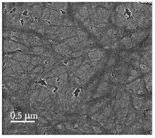 A kind of method and application of utilizing coconut shell fiber to prepare nano-fibrils of different scales