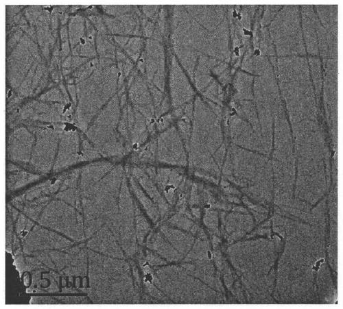 A kind of method and application of utilizing coconut shell fiber to prepare nano-fibrils of different scales