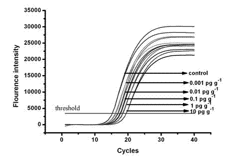 Construction method of immunosensor for measuring DNA (Deoxyribose Nucleic Acid) mark of melamine