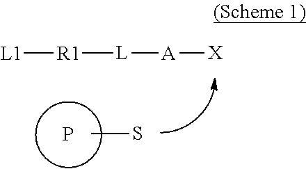 Covalently binding imaging probes