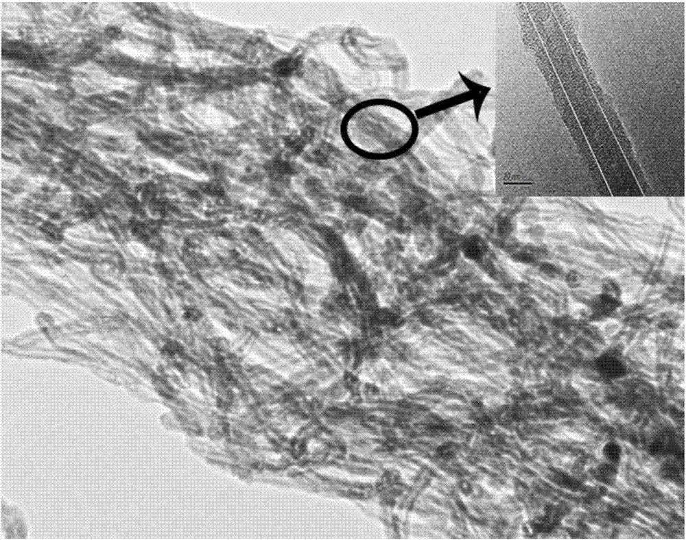 Positive electrode material for flexible lithium-sulfur battery