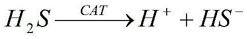 Catalyst for synthesizing isopropyl mercaptan from propylene and hydrogen sulfide