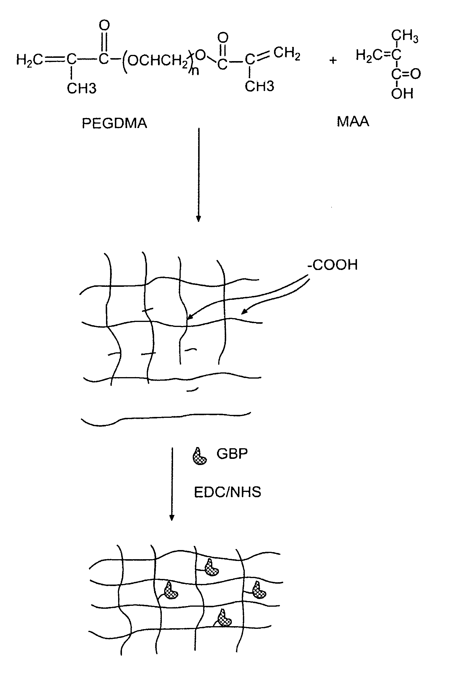 Hydrogel compositions