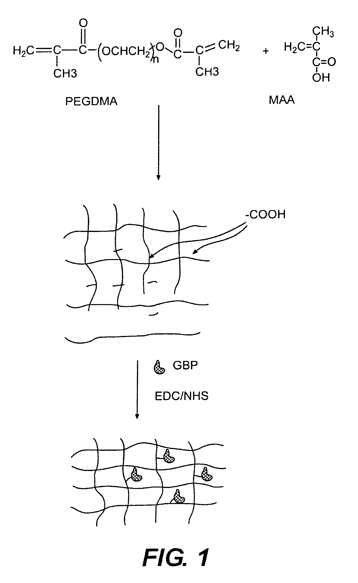 Hydrogel compositions