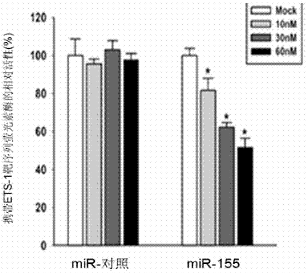 miRNA applied method for inhibiting migration of endothelial cell